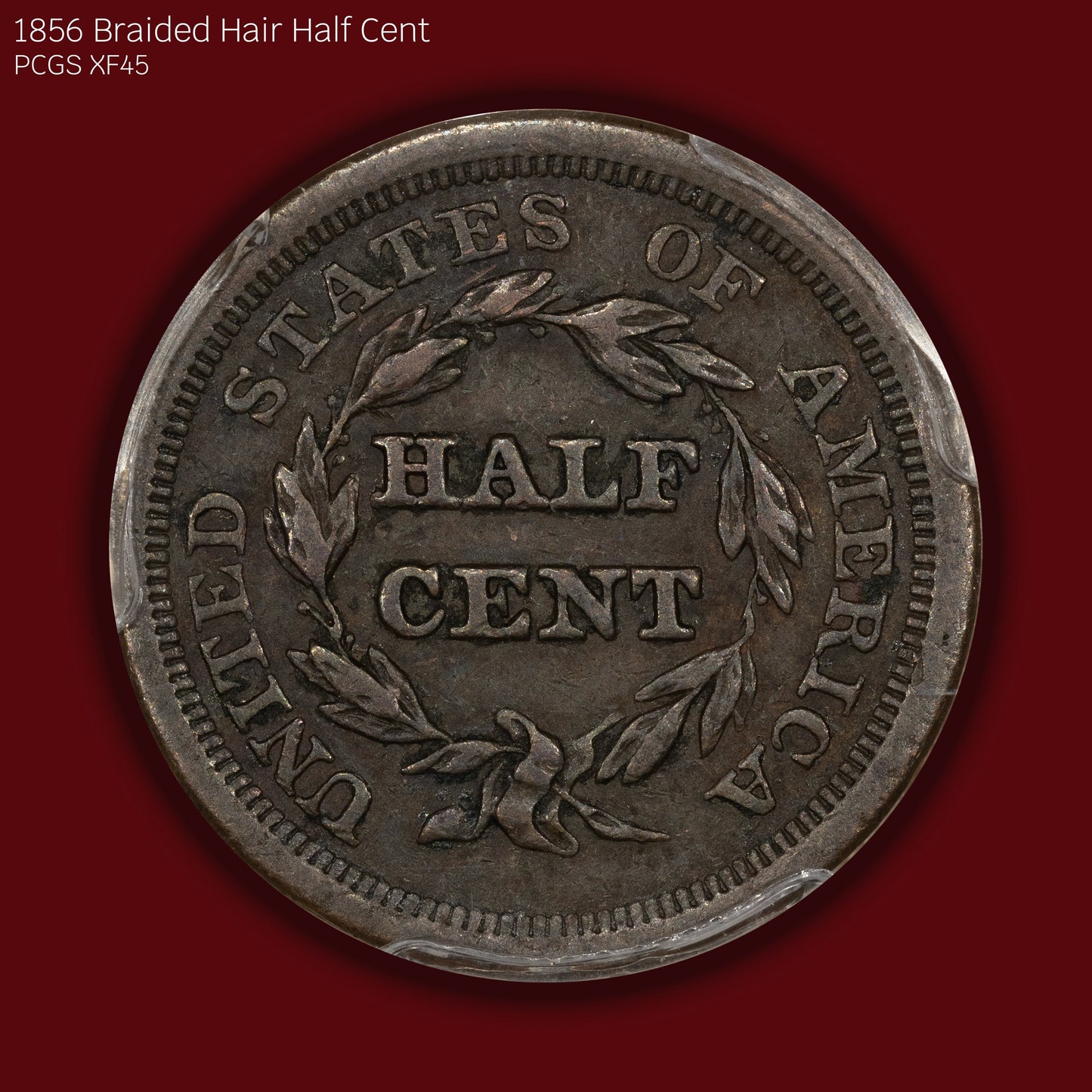 1856 Braided Hair Half Cent - PCGS XF45